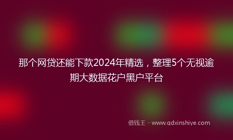 那个网贷还能下款2024年精选，整理5个无视逾期大数据花户黑户平台