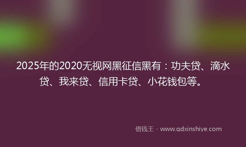 2025年的2020无视网黑征信黑有：功夫贷、滴水贷、我来贷、信用卡贷、小花钱包等。