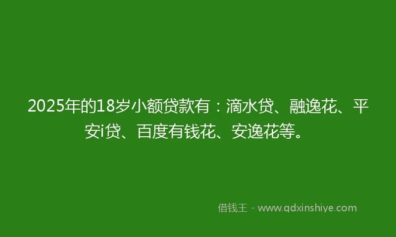 2025年的18岁小额贷款有：滴水贷、融逸花、平安i贷、百度有钱花、安逸花等。