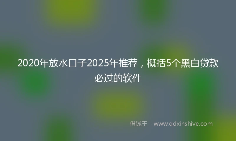 2020年放水口子2025年推荐，概括5个黑白贷款必过的软件