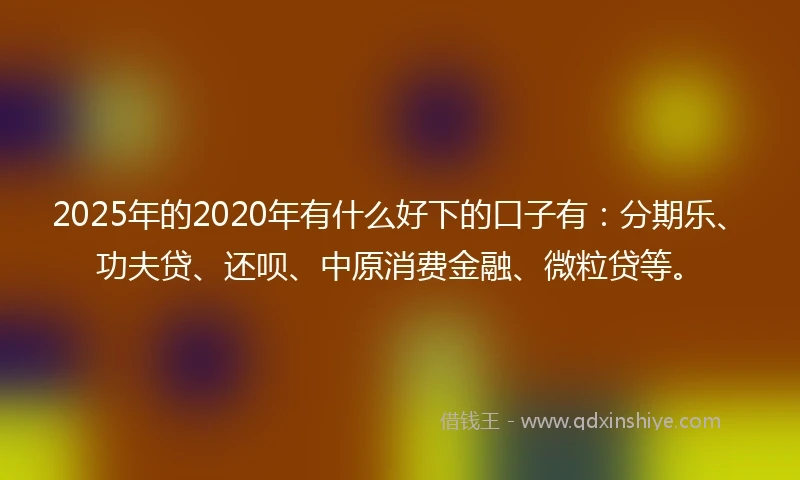 2025年的2020年有什么好下的口子有：分期乐、功夫贷、还呗、中原消费金融、微粒贷等。