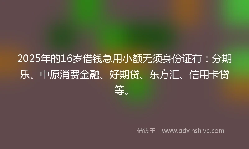 2025年的16岁借钱急用小额无须身份证有：分期乐、中原消费金融、好期贷、东方汇、信用卡贷等。