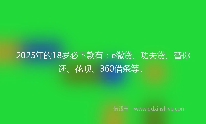 2025年的18岁必下款有：e微贷、功夫贷、替你还、花呗、360借条等。