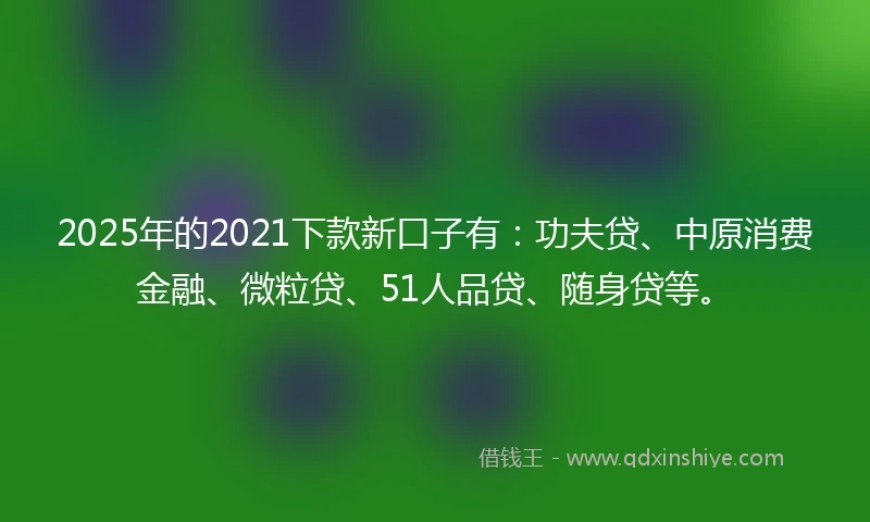 2025年的2021下款新口子有：功夫贷、中原消费金融、微粒贷、51人品贷、随身贷等。