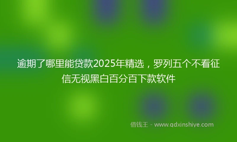 逾期了哪里能贷款2025年精选，罗列五个不看征信无视黑白百分百下款软件