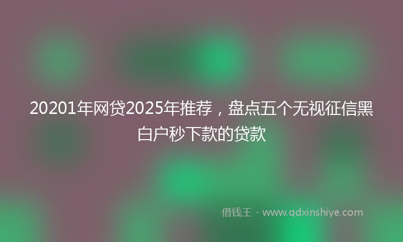 20201年网贷2025年推荐，盘点五个无视征信黑白户秒下款的贷款