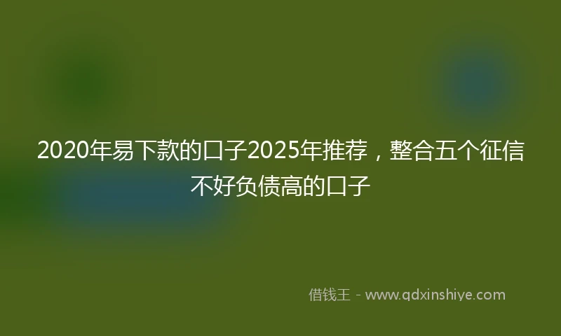 2020年易下款的口子2025年推荐，整合五个征信不好负债高的口子