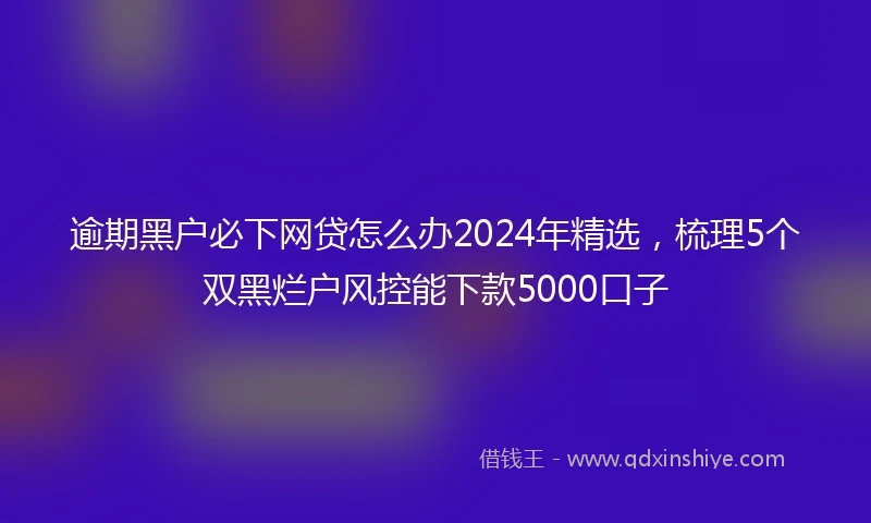 逾期黑户必下网贷怎么办2024年精选，梳理5个双黑烂户风控能下款5000口子