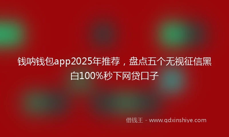 钱呐钱包app2025年推荐，盘点五个无视征信黑白100%秒下网贷口子