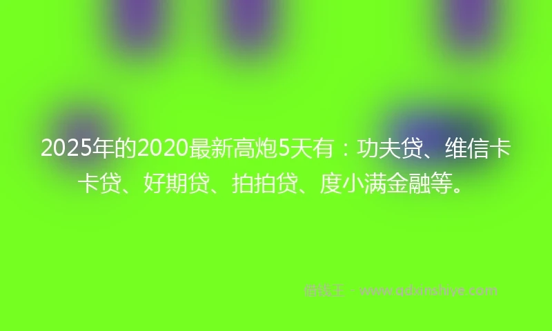 2025年的2020最新高炮5天有：功夫贷、维信卡卡贷、好期贷、拍拍贷、度小满金融等。