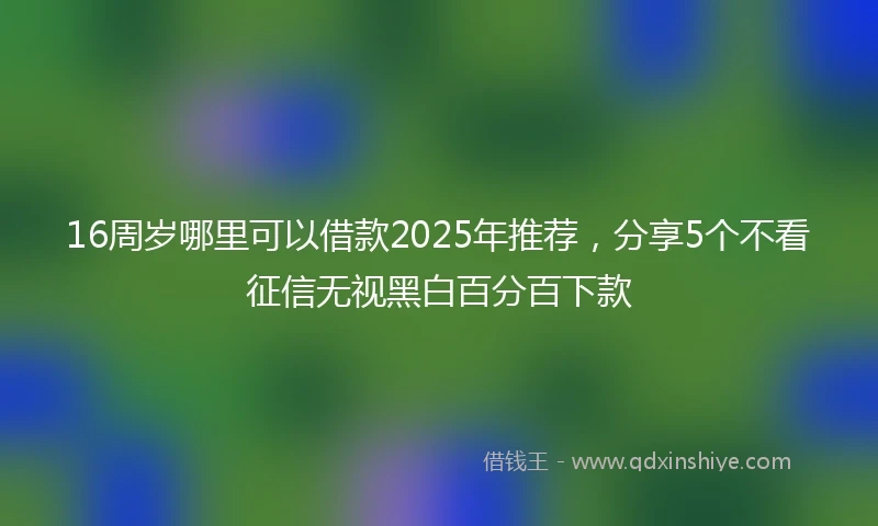 16周岁哪里可以借款2025年推荐，分享5个不看征信无视黑白百分百下款