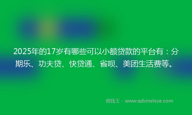 2025年的17岁有哪些可以小额贷款的平台有：分期乐、功夫贷、快贷通、省呗、美团生活费等。