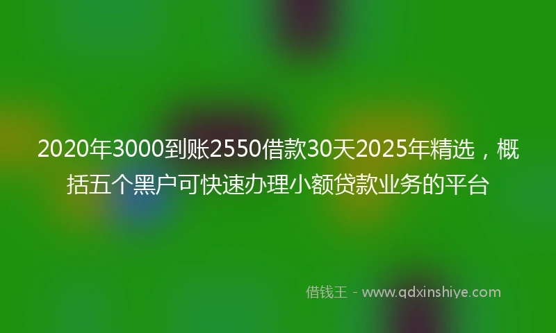 2020年3000到账2550借款30天2025年精选，概括五个黑户可快速办理小额贷款业务的平台