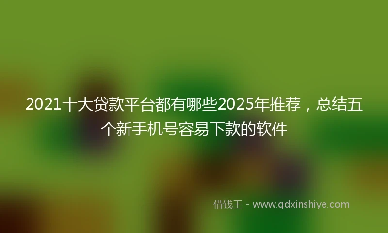 2021十大贷款平台都有哪些2025年推荐，总结五个新手机号容易下款的软件