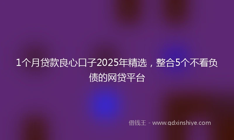 1个月贷款良心口子2025年精选，整合5个不看负债的网贷平台