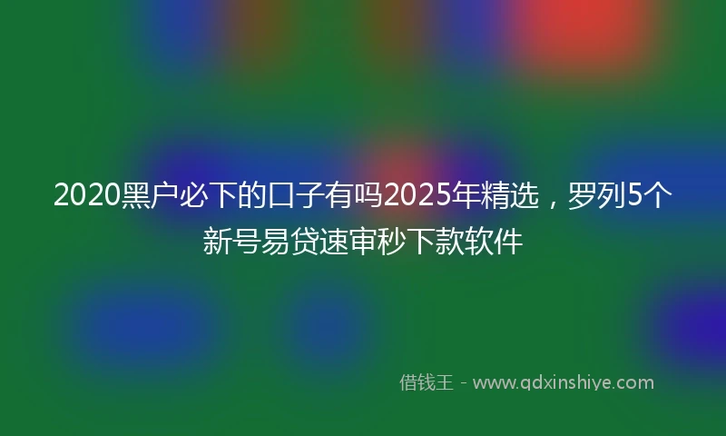 2020黑户必下的口子有吗2025年精选，罗列5个新号易贷速审秒下款软件