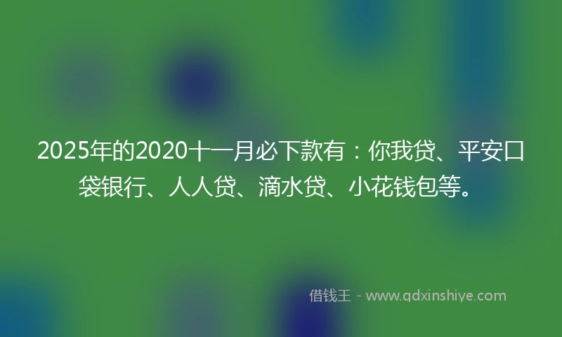2025年的2020十一月必下款有：你我贷、平安口袋银行、人人贷、滴水贷、小花钱包等。