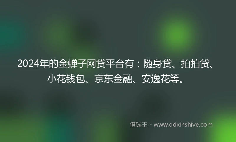 2024年的金蝉子网贷平台有：随身贷、拍拍贷、小花钱包、京东金融、安逸花等。