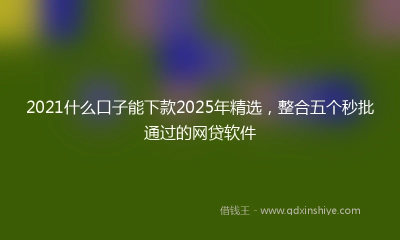 2021什么口子能下款2025年精选，整合五个秒批通过的网贷软件