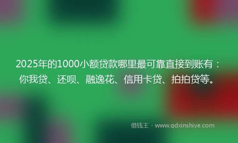 2025年的1000小额贷款哪里最可靠直接到账有：你我贷、还呗、融逸花、信用卡贷、拍拍贷等。