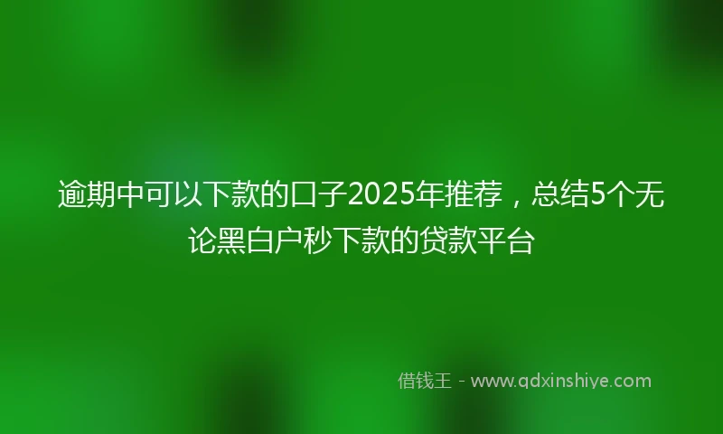 逾期中可以下款的口子2025年推荐，总结5个无论黑白户秒下款的贷款平台