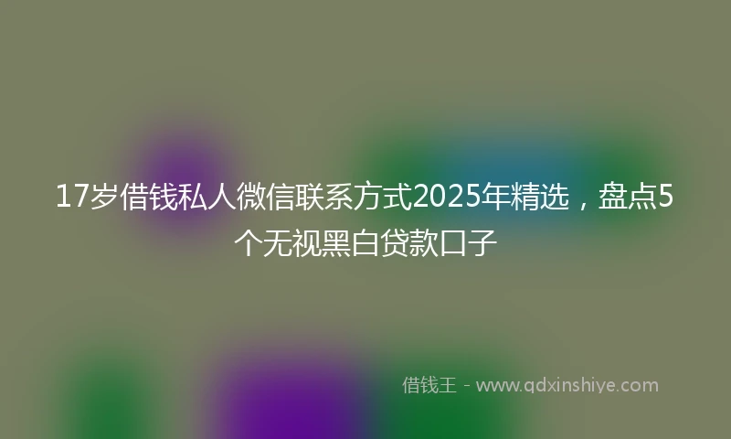 17岁借钱私人微信联系方式2025年精选，盘点5个无视黑白贷款口子
