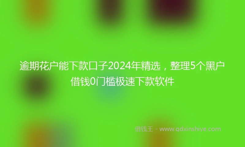 逾期花户能下款口子2024年精选，整理5个黑户借钱0门槛极速下款软件