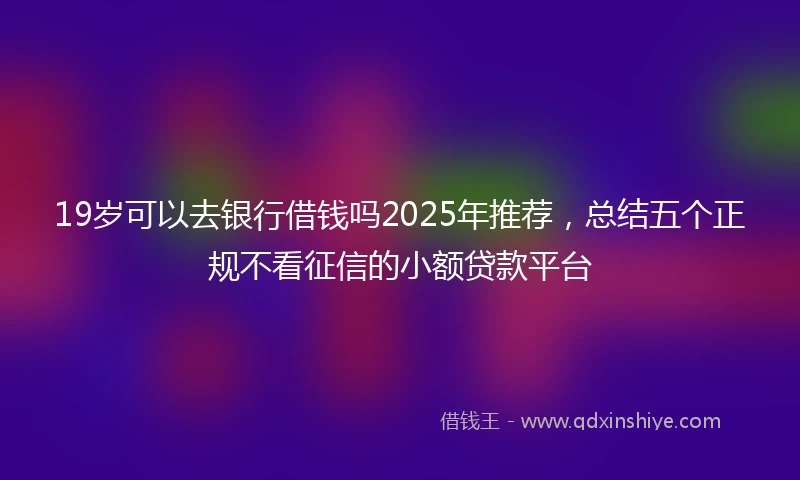 19岁可以去银行借钱吗2025年推荐，总结五个正规不看征信的小额贷款平台