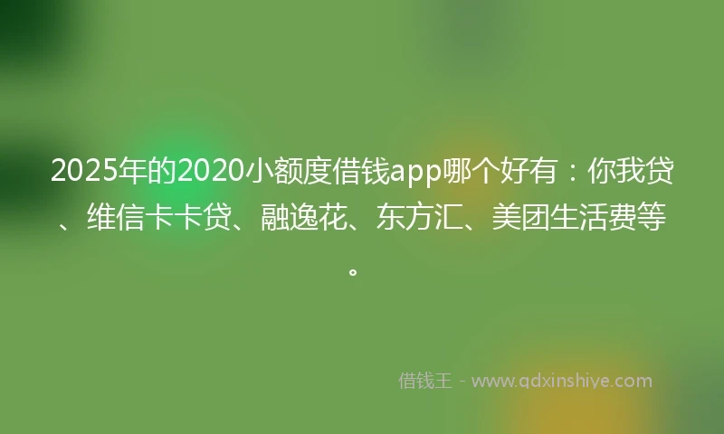 2025年的2020小额度借钱app哪个好有：你我贷、维信卡卡贷、融逸花、东方汇、美团生活费等。