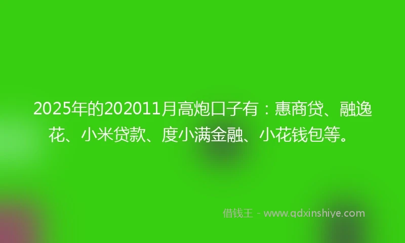 2025年的202011月高炮口子有：惠商贷、融逸花、小米贷款、度小满金融、小花钱包等。