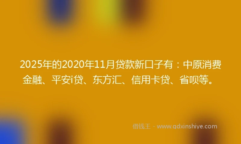 2025年的2020年11月贷款新口子有：中原消费金融、平安i贷、东方汇、信用卡贷、省呗等。