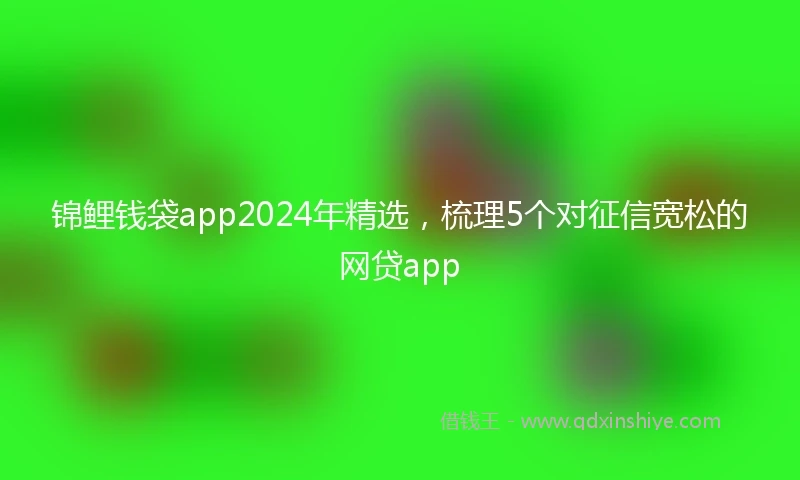 锦鲤钱袋app2024年精选，梳理5个对征信宽松的网贷app