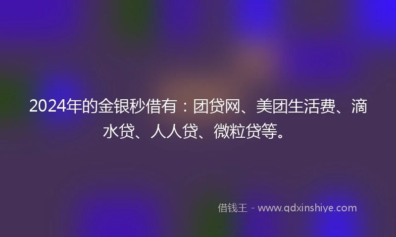 2024年的金银秒借有：团贷网、美团生活费、滴水贷、人人贷、微粒贷等。