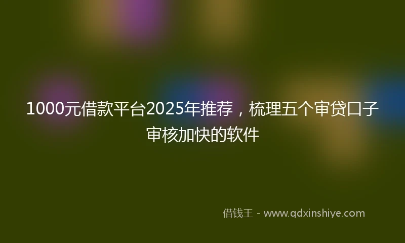 1000元借款平台2025年推荐，梳理五个审贷口子审核加快的软件