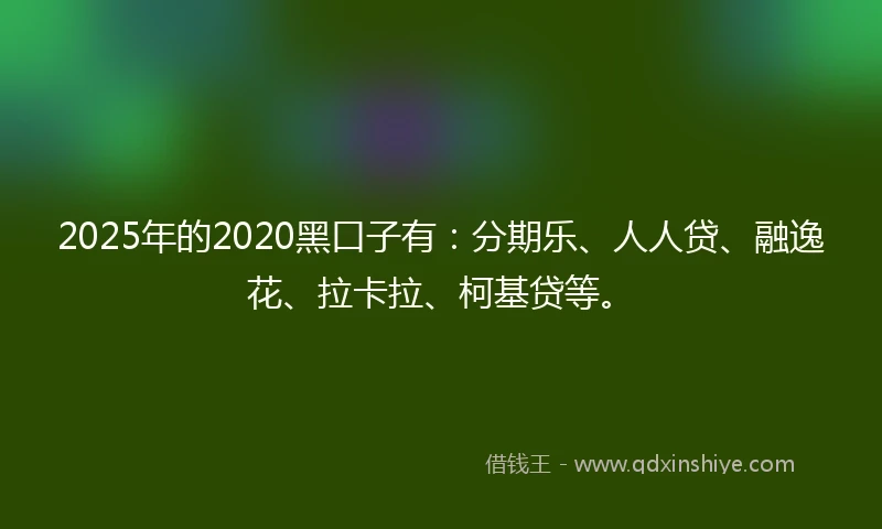 2025年的2020黑口子有：分期乐、人人贷、融逸花、拉卡拉、柯基贷等。