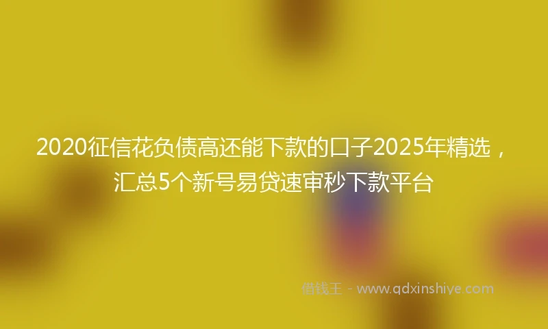 2020征信花负债高还能下款的口子2025年精选，汇总5个新号易贷速审秒下款平台