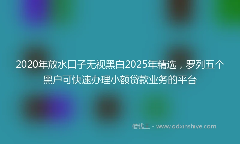 2020年放水口子无视黑白2025年精选，罗列五个黑户可快速办理小额贷款业务的平台