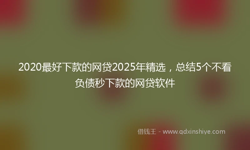 2020最好下款的网贷2025年精选，总结5个不看负债秒下款的网贷软件
