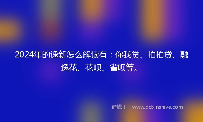 2024年的逸新怎么解读有：你我贷、拍拍贷、融逸花、花呗、省呗等。