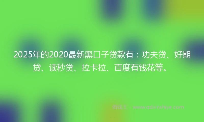 2025年的2020最新黑口子贷款有：功夫贷、好期贷、读秒贷、拉卡拉、百度有钱花等。