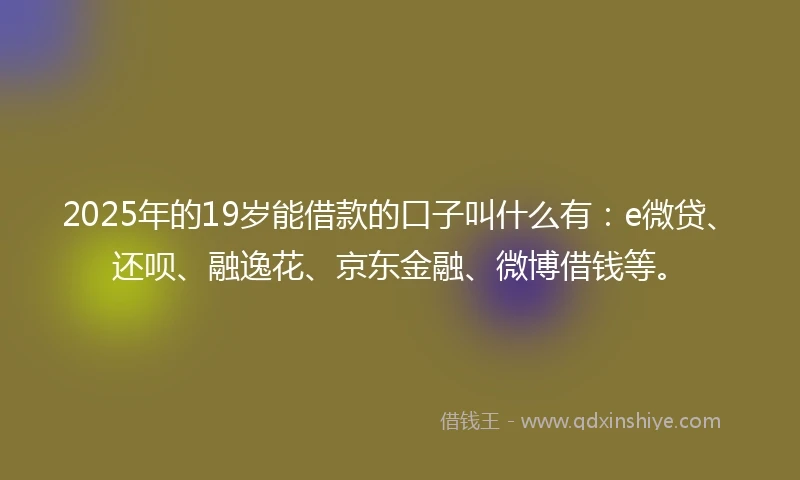 2025年的19岁能借款的口子叫什么有：e微贷、还呗、融逸花、京东金融、微博借钱等。