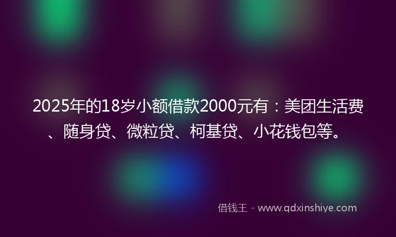 2025年的18岁小额借款2000元有：美团生活费、随身贷、微粒贷、柯基贷、小花钱包等。