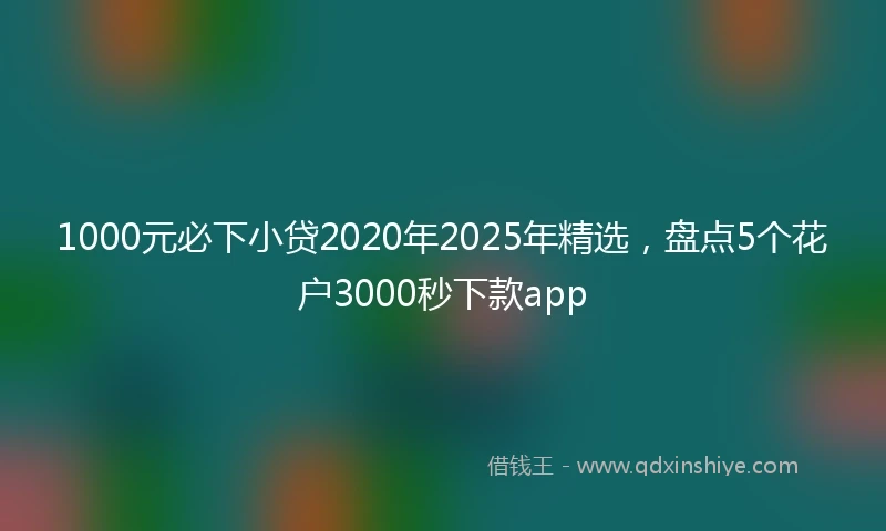1000元必下小贷2020年2025年精选，盘点5个花户3000秒下款app