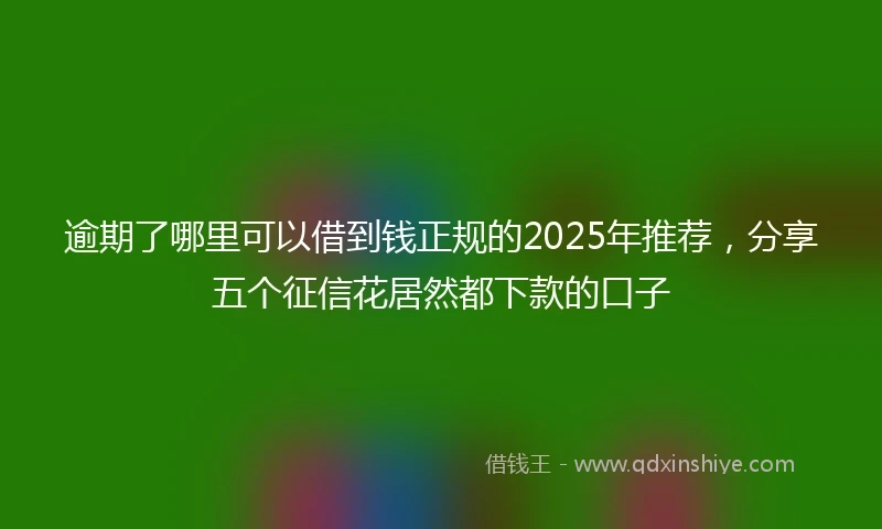 逾期了哪里可以借到钱正规的2025年推荐，分享五个征信花居然都下款的口子