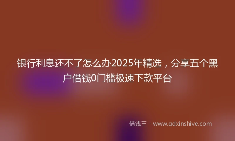 银行利息还不了怎么办2025年精选，分享五个黑户借钱0门槛极速下款平台