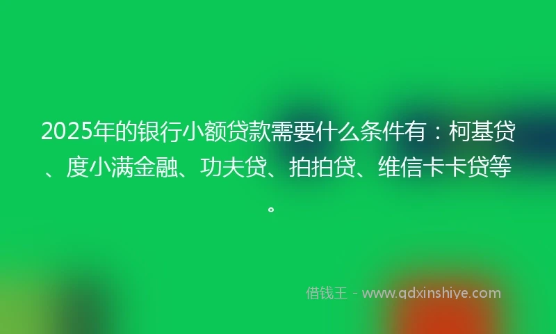 2025年的银行小额贷款需要什么条件有：柯基贷、度小满金融、功夫贷、拍拍贷、维信卡卡贷等。