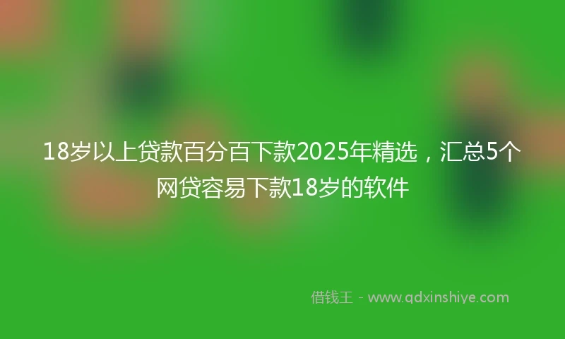 18岁以上贷款百分百下款2025年精选，汇总5个网贷容易下款18岁的软件