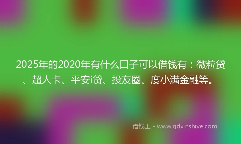 2025年的2020年有什么口子可以借钱有：微粒贷、超人卡、平安i贷、投友圈、度小满金融等。