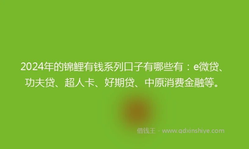 2024年的锦鲤有钱系列口子有哪些有：e微贷、功夫贷、超人卡、好期贷、中原消费金融等。