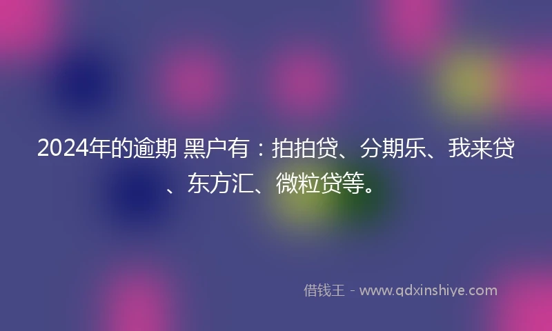 2024年的逾期 黑户有：拍拍贷、分期乐、我来贷、东方汇、微粒贷等。